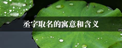 丞意思名字|丞字取名的寓意